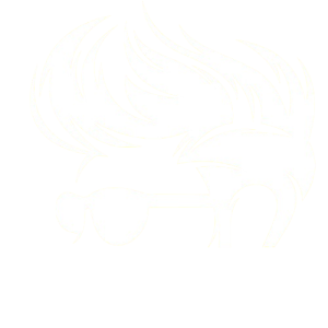 caidadelpeloremedios